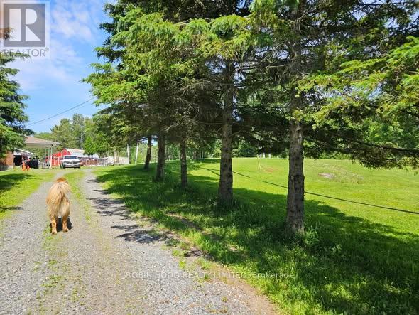 892 SECORD ROAD - 5