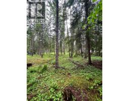 5619 6 Highway, Burton, BC V0G1R0 Photo 10
