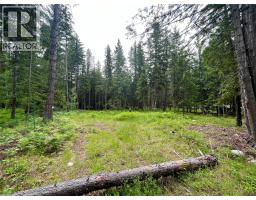 5619 6 Highway, Burton, BC V0G1R0 Photo 12