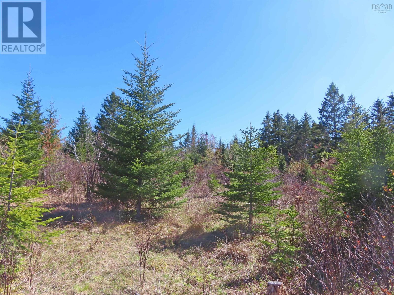 Property 11 of 34 of Lot 2 Old Trunk 4 Highway