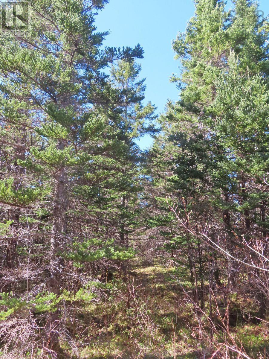 Property 21 of 34 of Lot 2 Old Trunk 4 Highway