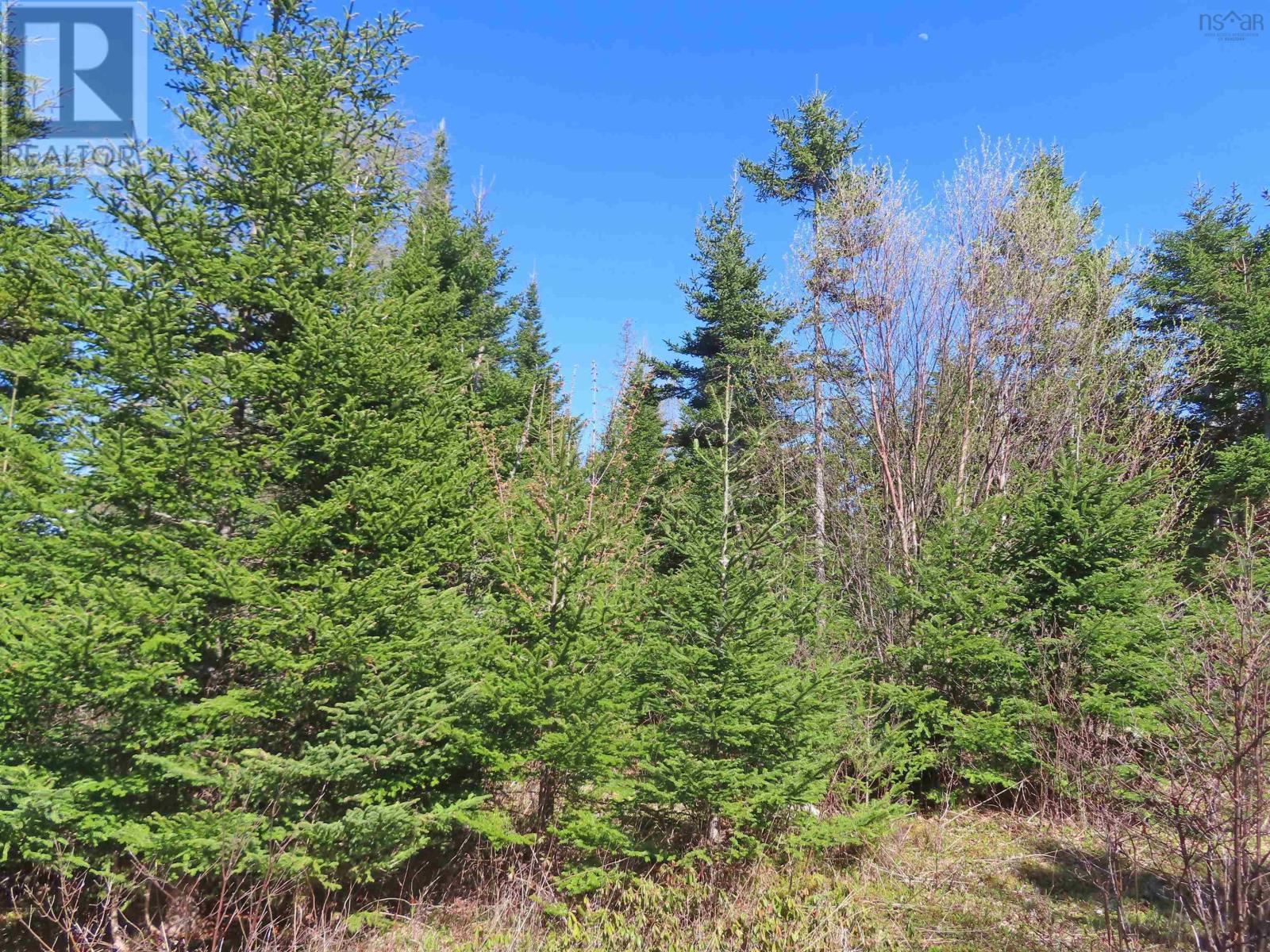 Property 9 of 34 of Lot 2 Old Trunk 4 Highway