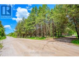8699 Old Hasting Road, Tudor And Cashel, ON K0K1Y0 Photo 42