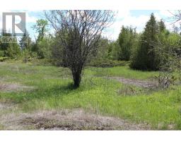 3475 Hwy 17 Highway, Ottawa, ON K0A1L0 Photo 13