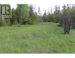 3475 Hwy 17 Highway, Ottawa, ON K0A1L0 Photo 15