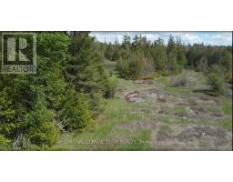 3475 Hwy 17 Highway, Ottawa, ON K0A1L0 Photo 20