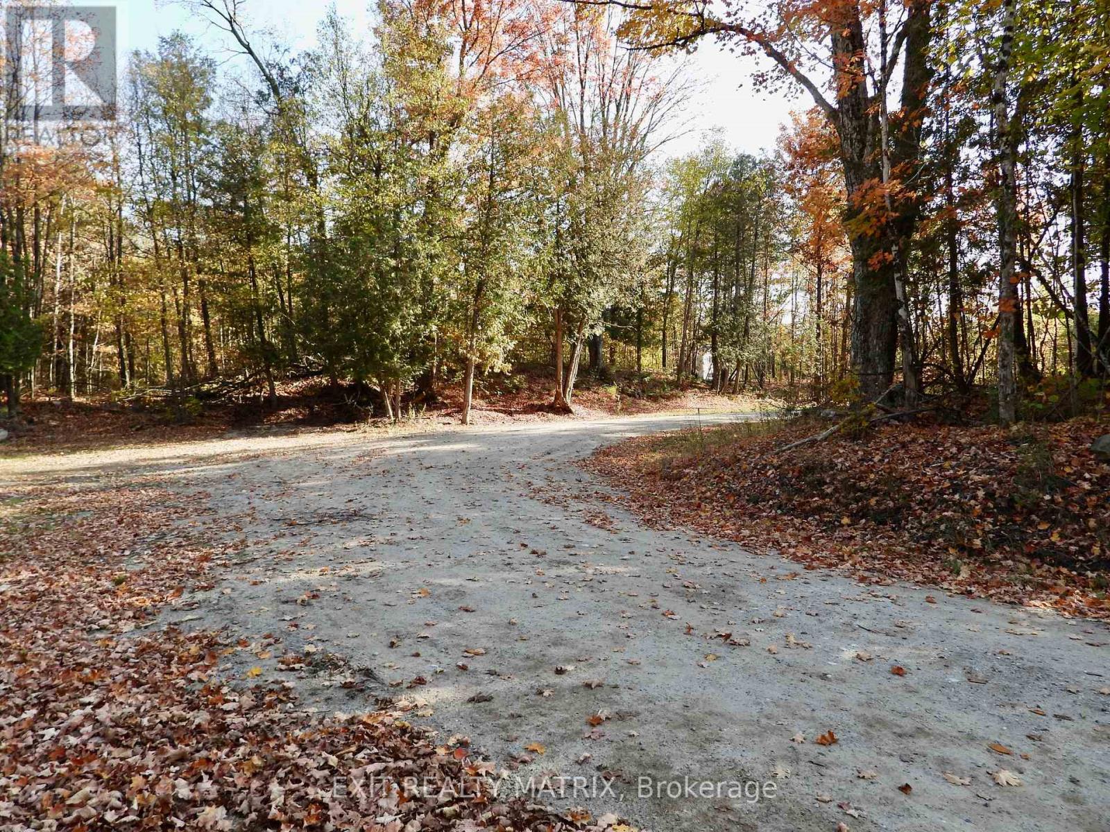1424 BULL LAKE ROAD - 13