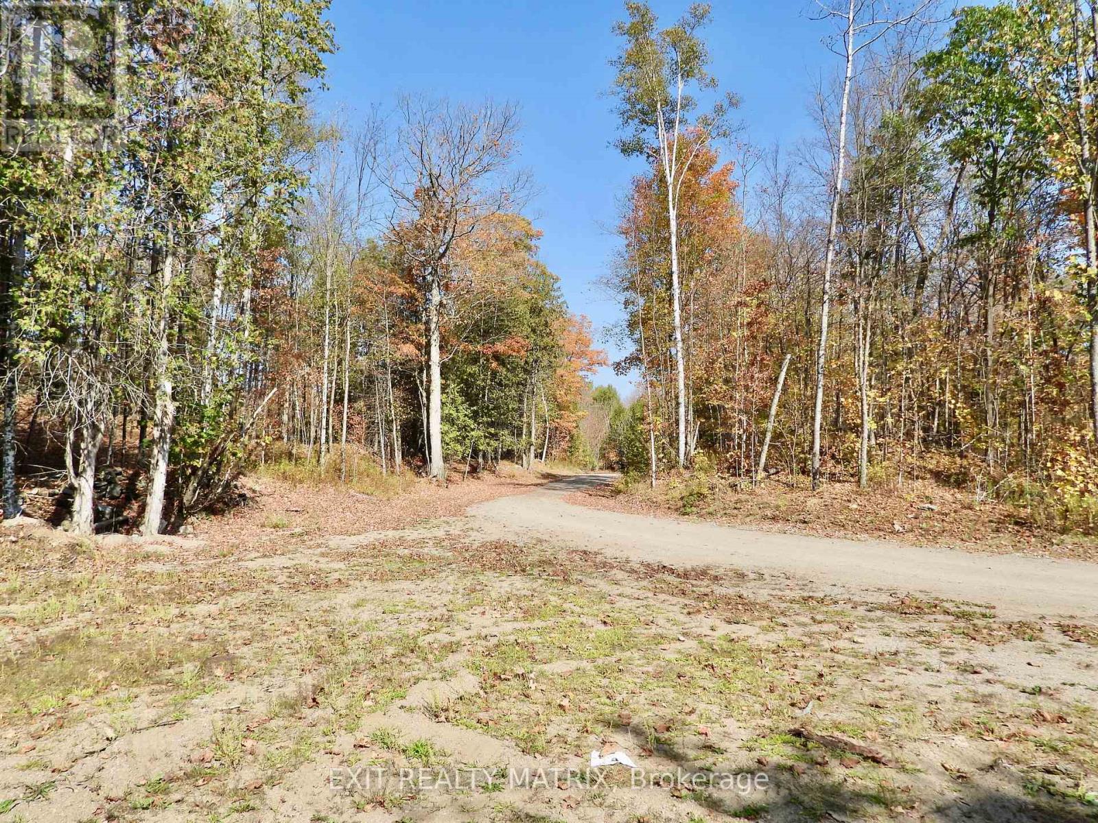 1424 BULL LAKE ROAD - 14