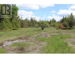 3475 Hwy 17 Highway, Ottawa, ON K0A1L0 Photo 10