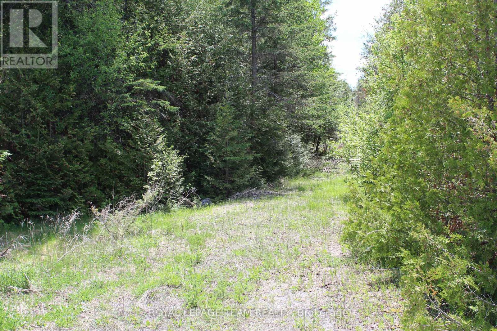 3475 HWY 17 HIGHWAY