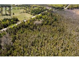 00 Wolf Grove Pt Lt 15 Road, Lanark Highlands, ON K0G1K0 Photo 10