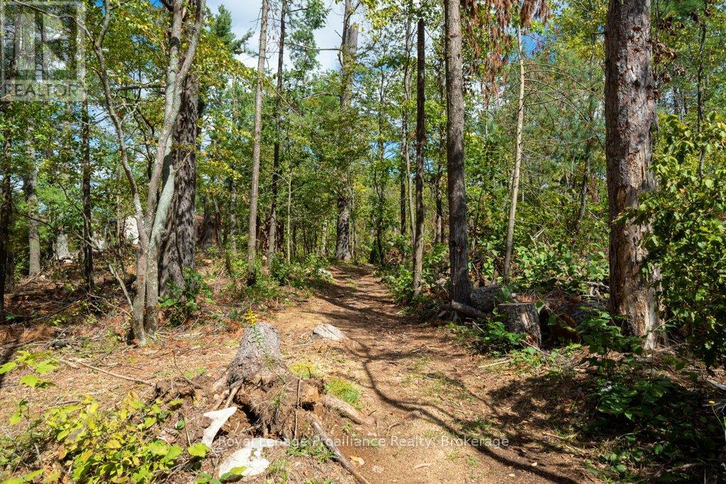 258 SKOOTAMATTA LAKE - 43