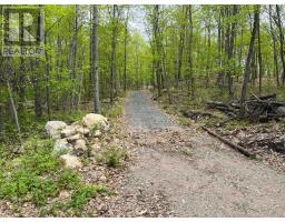 0 Wales Drive, Madawaska Valley, ON K0J1B0 Photo 10