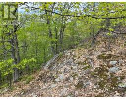 0 Wales Drive, Madawaska Valley, ON K0J1B0 Photo 13
