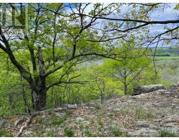 0 Wales Drive, Madawaska Valley, ON K0J1B0 Photo 14