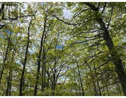 0 Wales Drive, Madawaska Valley, ON K0J1B0 Photo 19