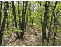 0 Wales Drive, Madawaska Valley, ON K0J1B0 Photo 6