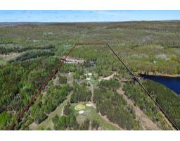 45 Ch. Mccoshen, Litchfield, QC J0X1K0 Photo 39