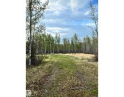 6206 Hwy 16, Rural Parkland County, AB T0E0W0 Photo 8