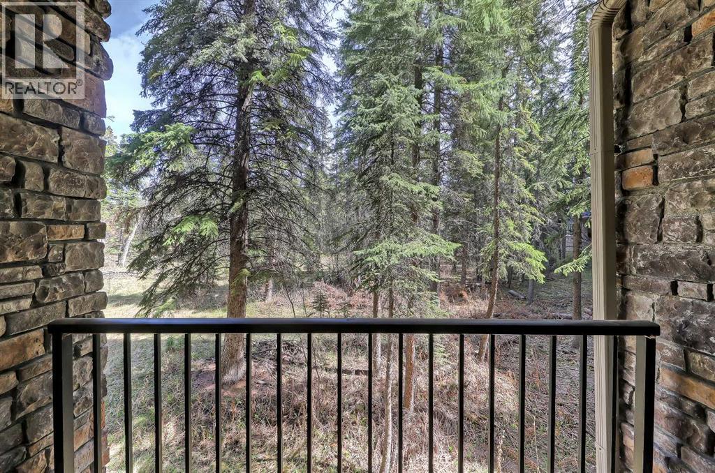 #120 20 Discovery Ridge Close SW - 30