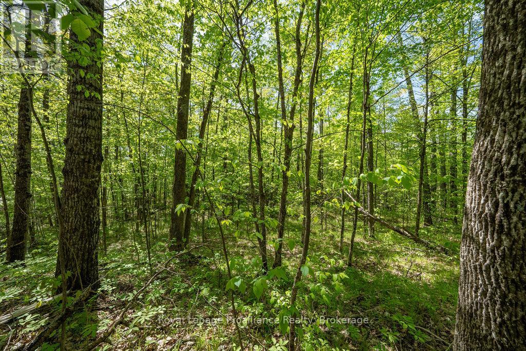 1633 BREWER ROAD - 32