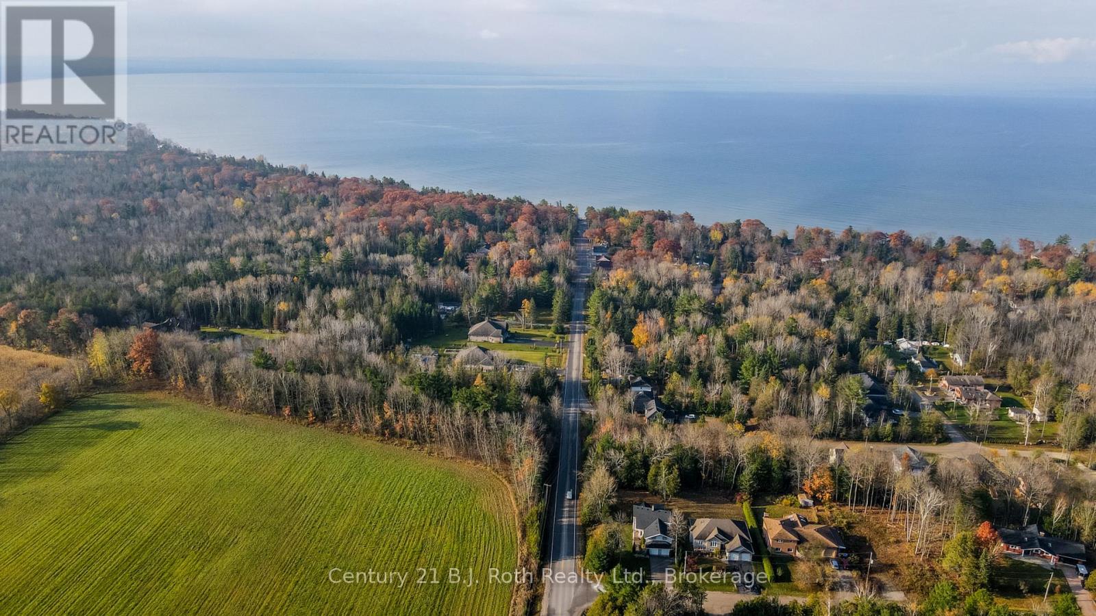 20 GRANT AVENUE - 29