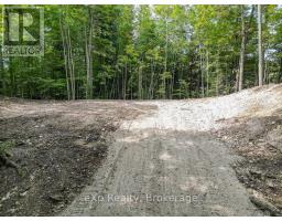 Pt Lt 15 Baseline Road, West Grey, ON N0C1H0 Photo 11