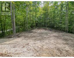 Pt Lt 15 Baseline Road, West Grey, ON N0C1H0 Photo 15