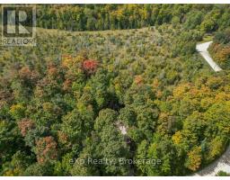Pt Lt 15 Baseline Road, West Grey, ON N0C1H0 Photo 16