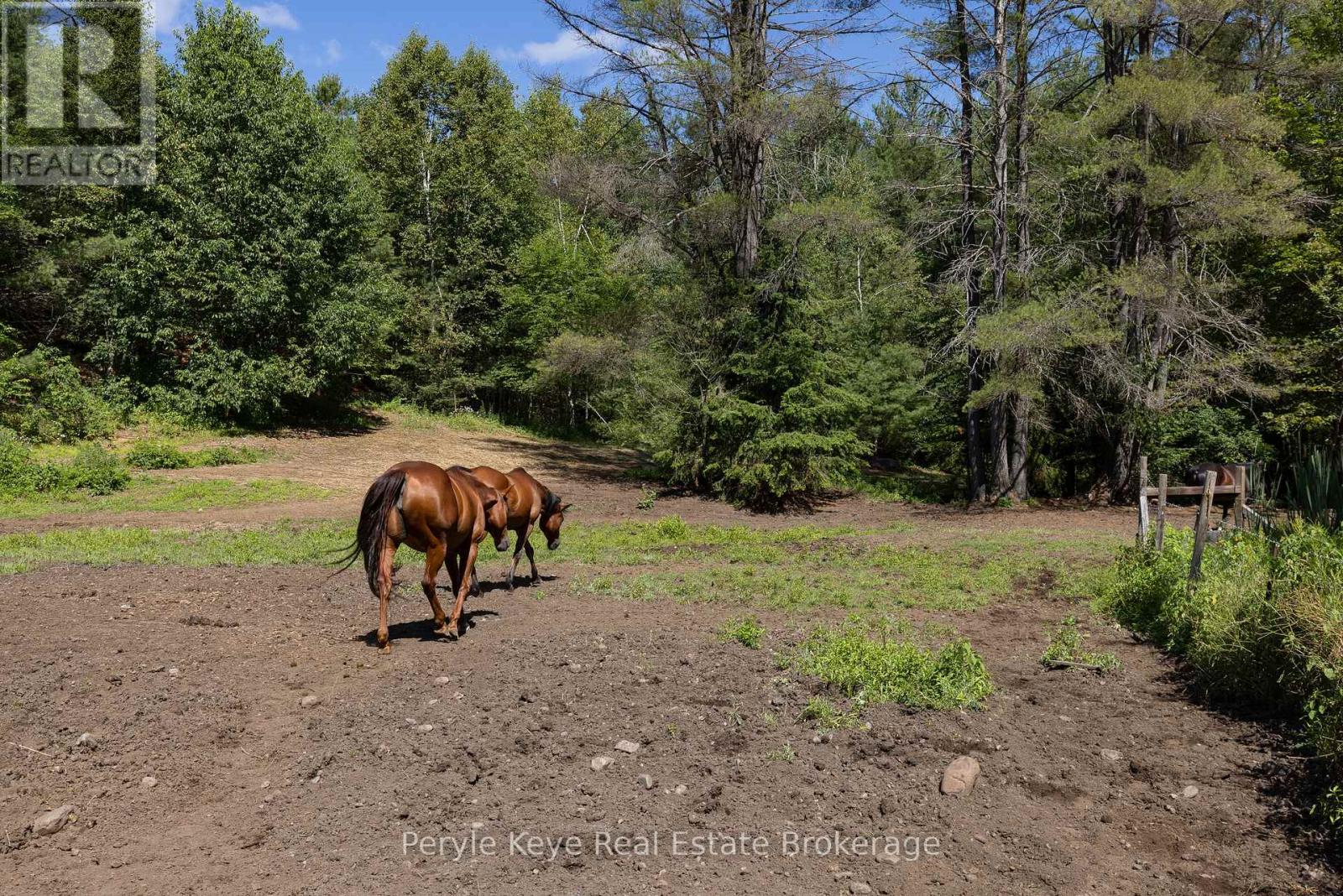 2322 OLD MUSKOKA ROAD - 44