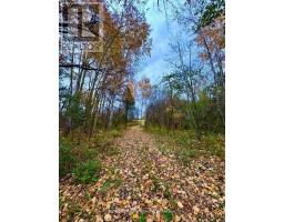 397641 10 Concession, Meaford, ON N4K5N8 Photo 7