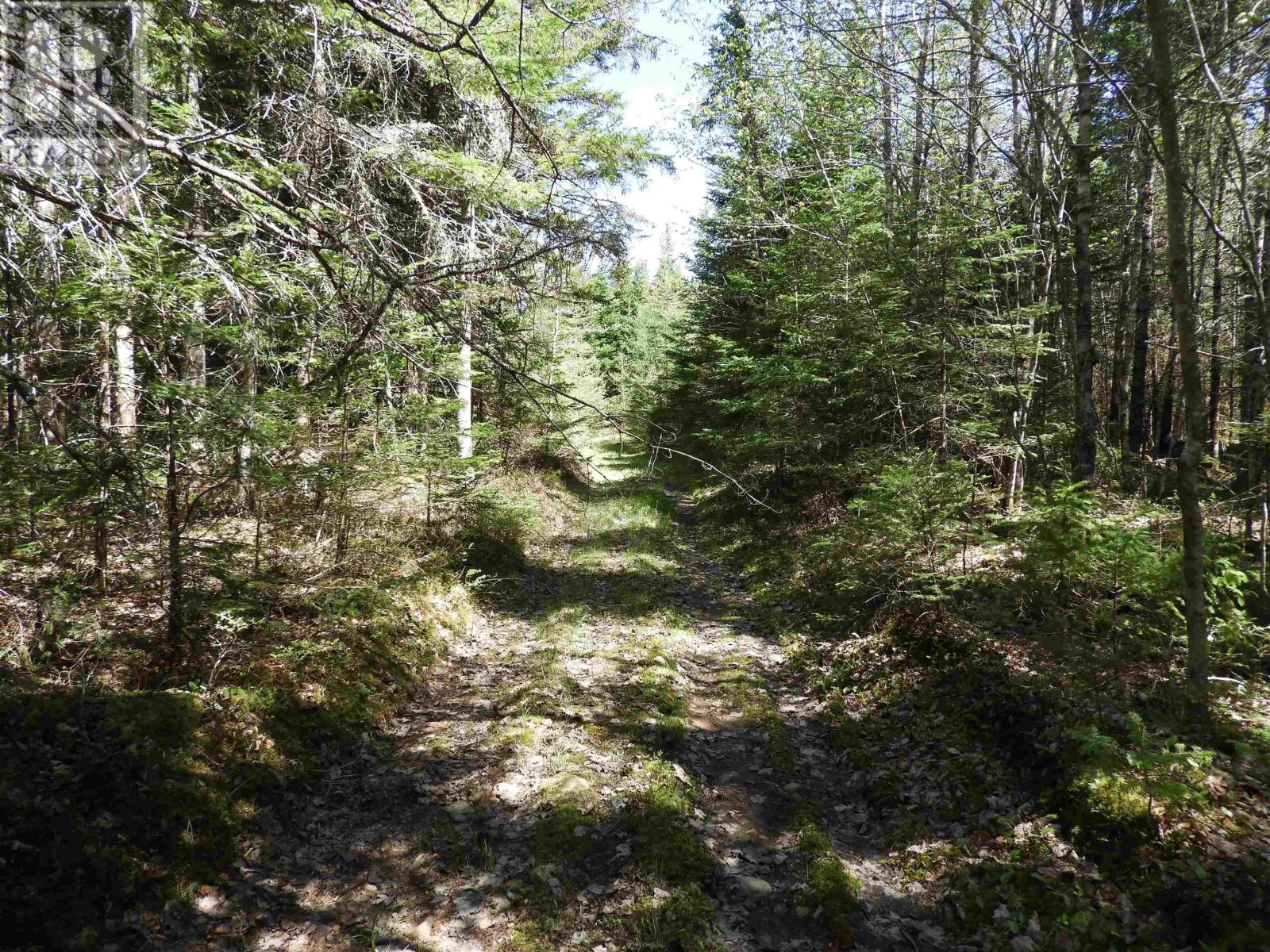 Property 1 of 12 of Lot Forties Road