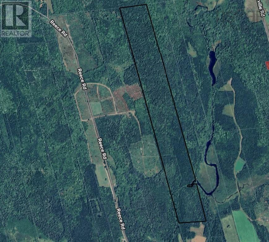 Property 3 of 12 of Lot Forties Road