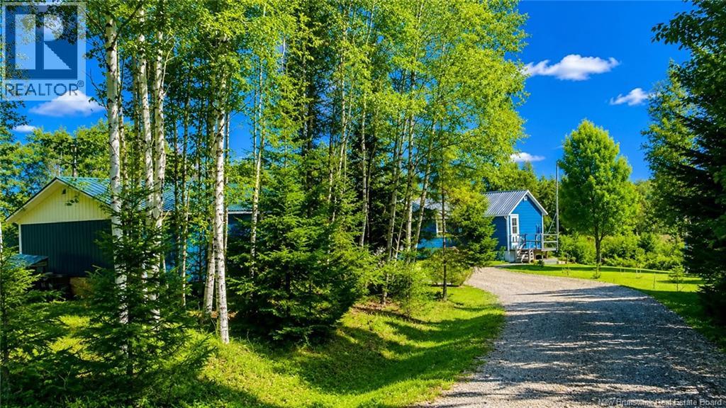 337 Foster Road - 5