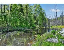 28 Pine Ridge Road, Kawartha Lakes, ON K0M2L0 Photo 34