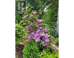 28 Pine Ridge Road, Kawartha Lakes, ON K0M2L0 Photo 41