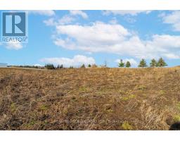 6449 12 13 Side Road, Clearview, ON L0M1N0 Photo 21