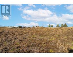 6449 12 13 Side Road, Clearview, ON L0M1N0 Photo 29