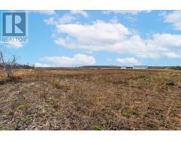 6449 12 13 Side Road, Clearview, ON L0M1N0 Photo 28