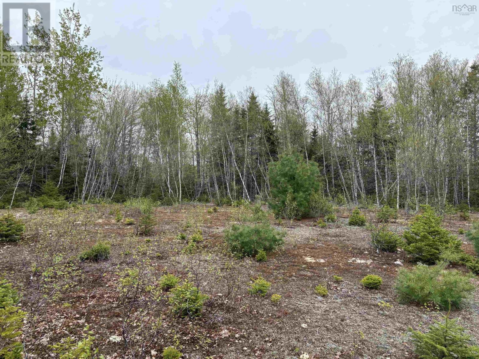 Property 7 of 16 of Sutherlands River Road