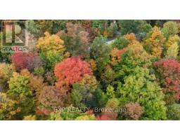 00 Iron Mine Road, Lanark Highlands, ON K0G1K0 Photo 24