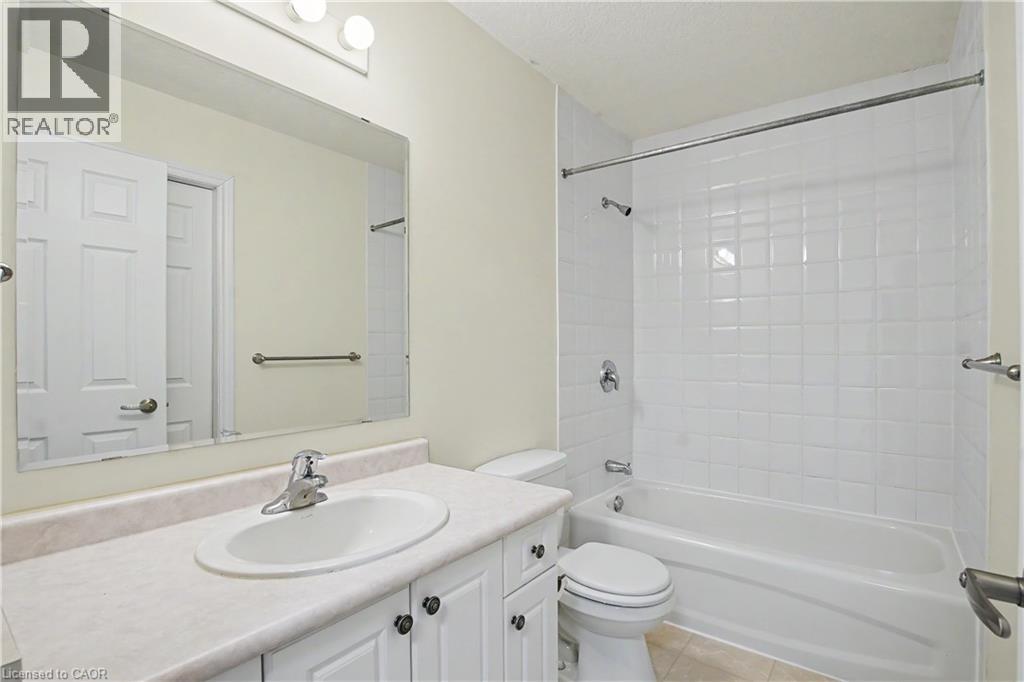 #C16 619 WILD GINGER Avenue - 24