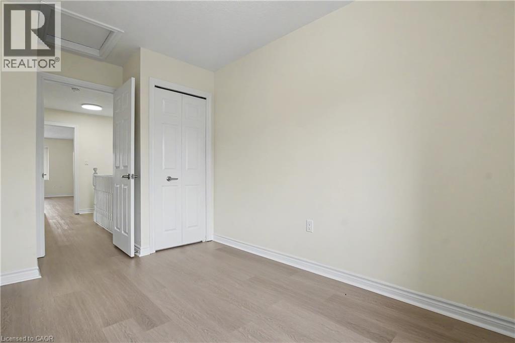 #C16 619 WILD GINGER Avenue - 26