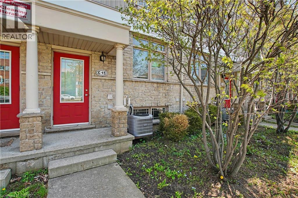 #C16 619 WILD GINGER Avenue - 3