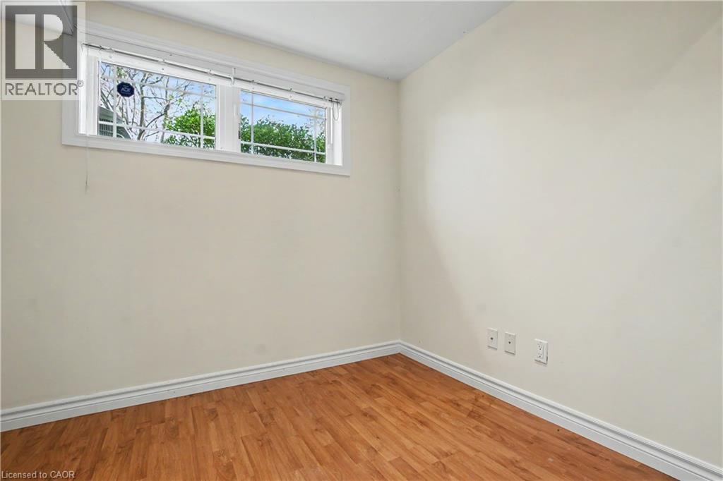 #C16 619 WILD GINGER Avenue - 32