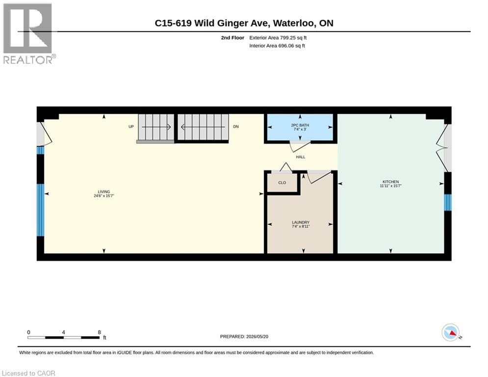 #C16 619 WILD GINGER Avenue - 38
