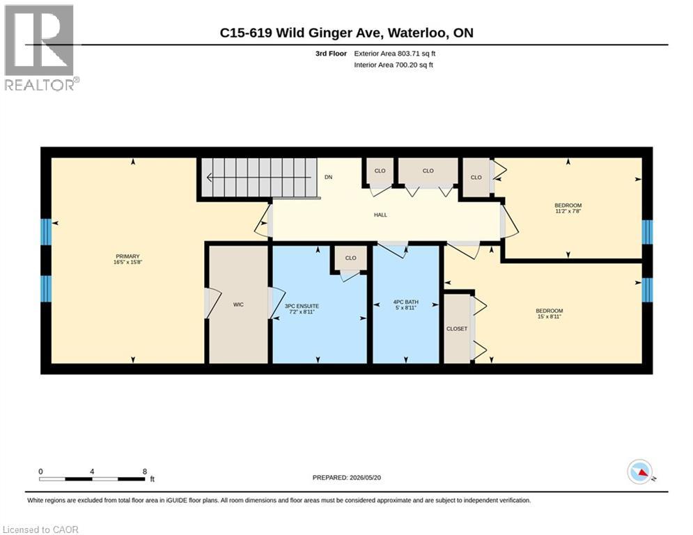#C16 619 WILD GINGER Avenue - 39