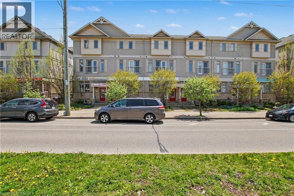 #C16 619 WILD GINGER Avenue - 4