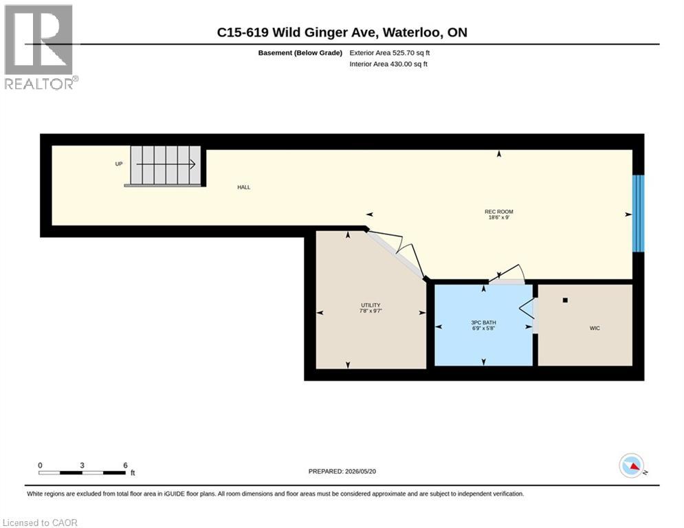 #C16 619 WILD GINGER Avenue - 40