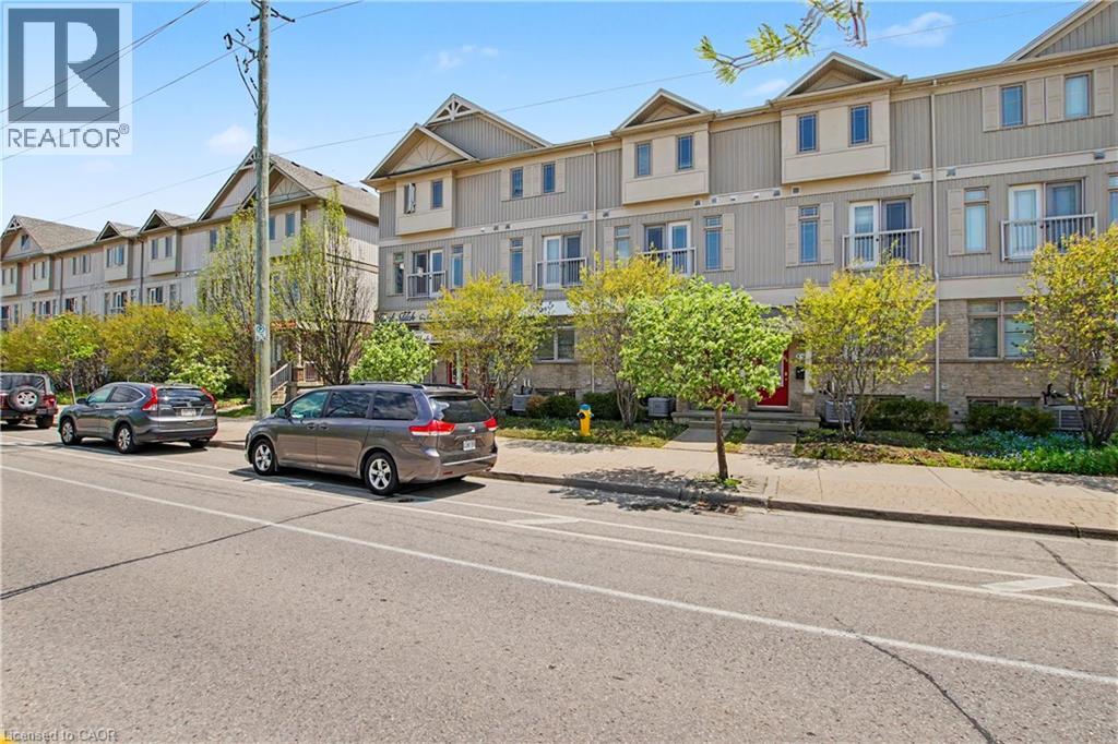 #C16 619 WILD GINGER Avenue - 5